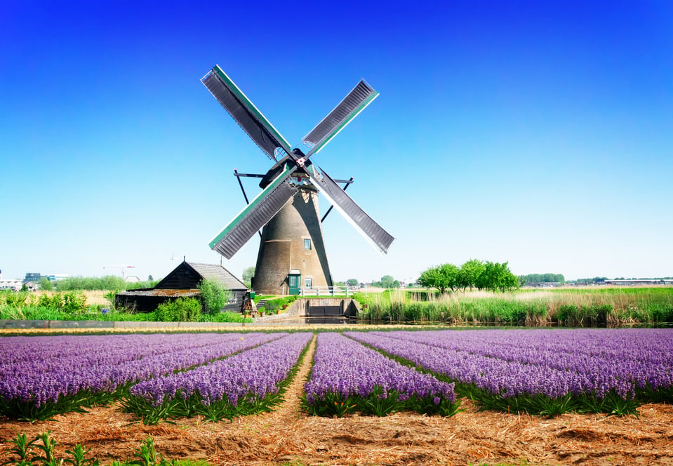 Dutch Wind Mills